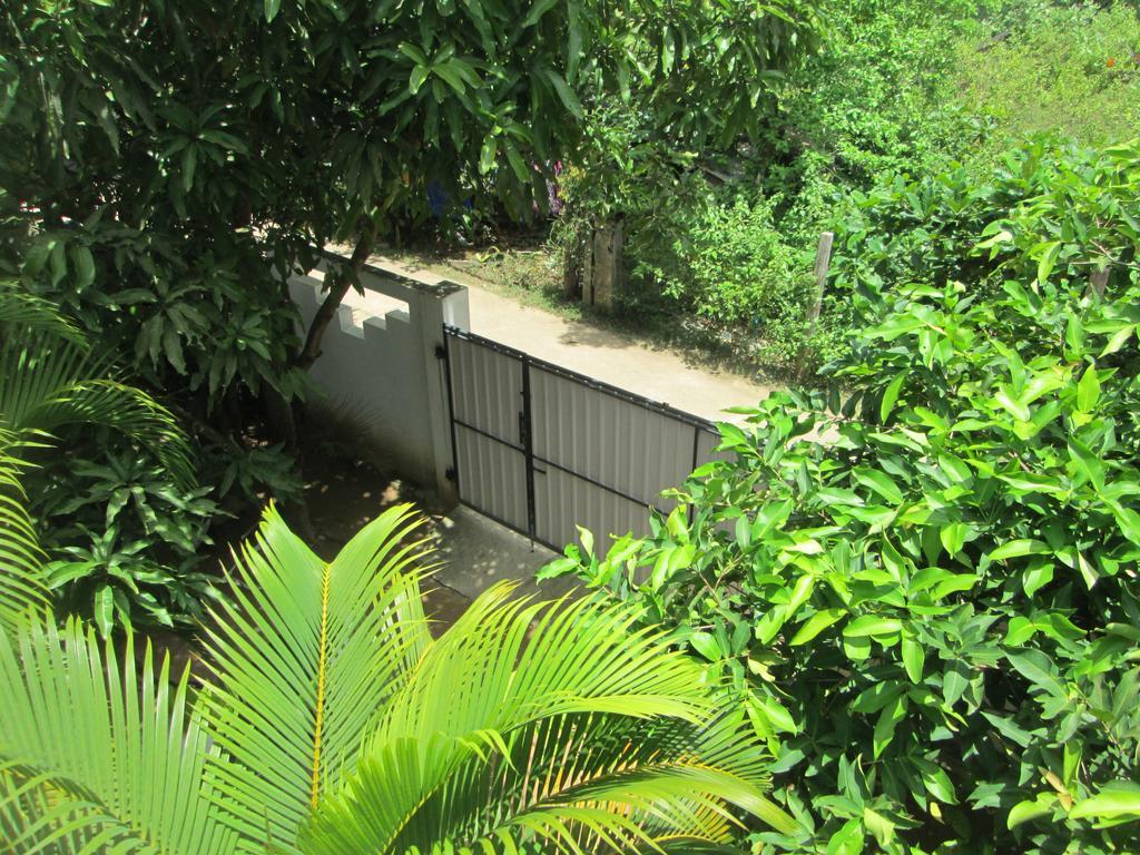 ווליגאמה Bay Reach Home Stay מראה חיצוני תמונה