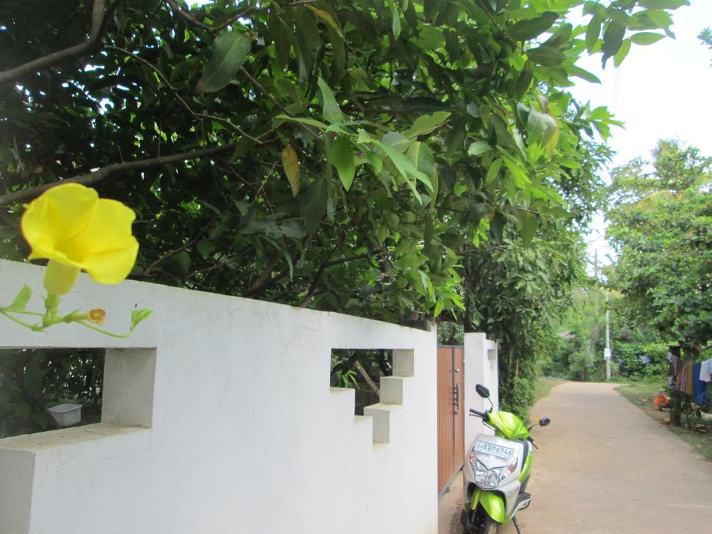 ווליגאמה Bay Reach Home Stay מראה חיצוני תמונה
