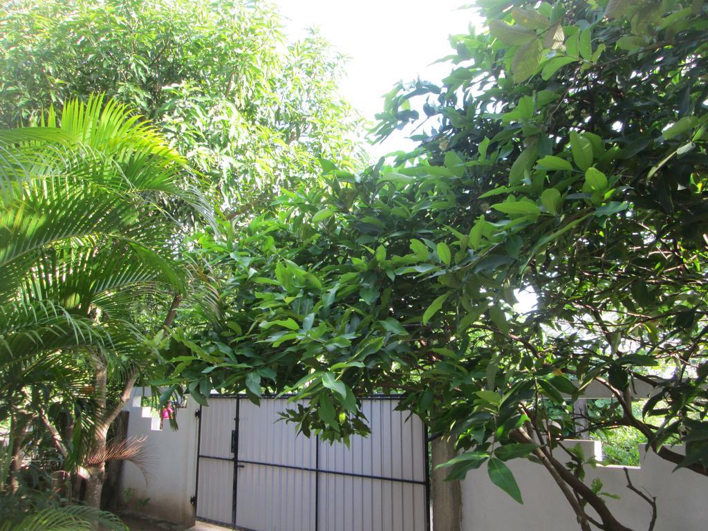 ווליגאמה Bay Reach Home Stay מראה חיצוני תמונה